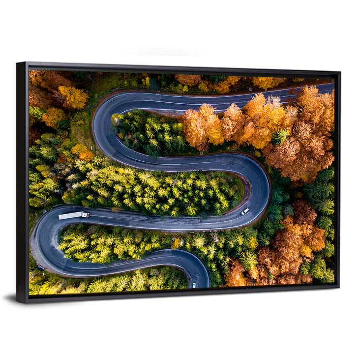 Serpentine Forest Road Wall Art as a framed canvas