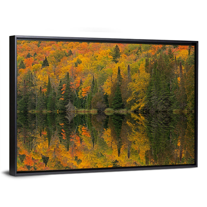 Ottawa National Forest Autumn Reflection Wall Art as a framed canvas