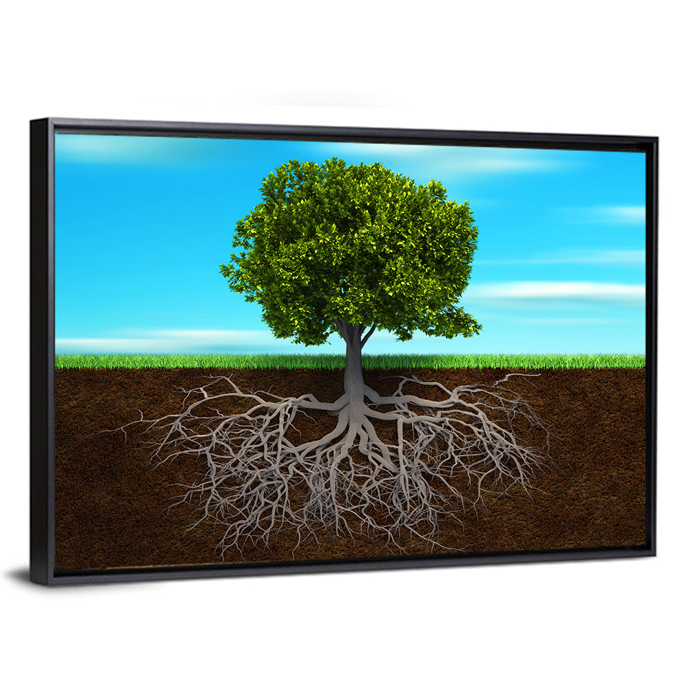 Tree Roots Cross-section Illustration Wall Art