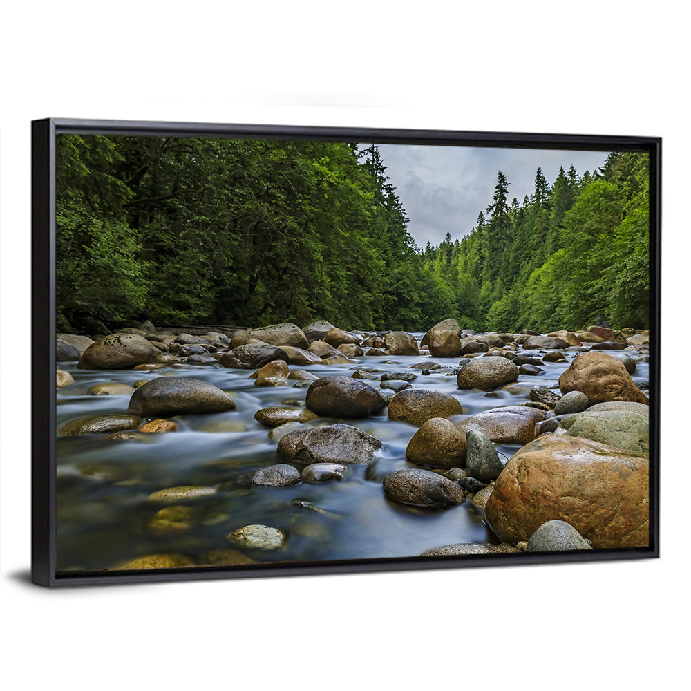 Lynn Canyon Riverbed Forest Wall Art