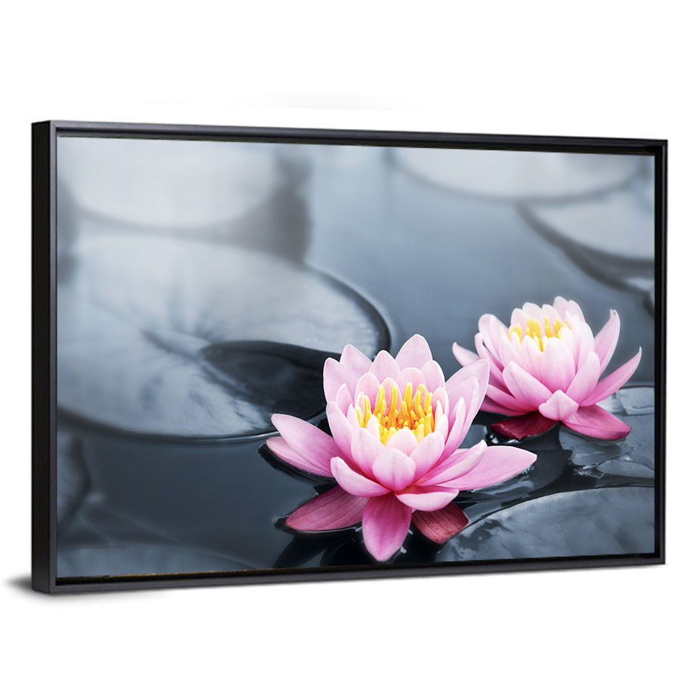 Pink Water Lilies Wall Art