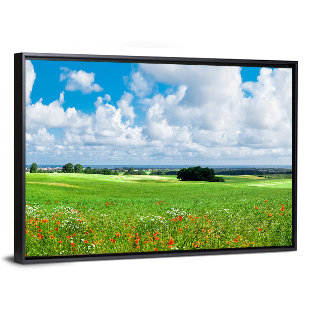 Summer Meadow with Poppies Wall Art