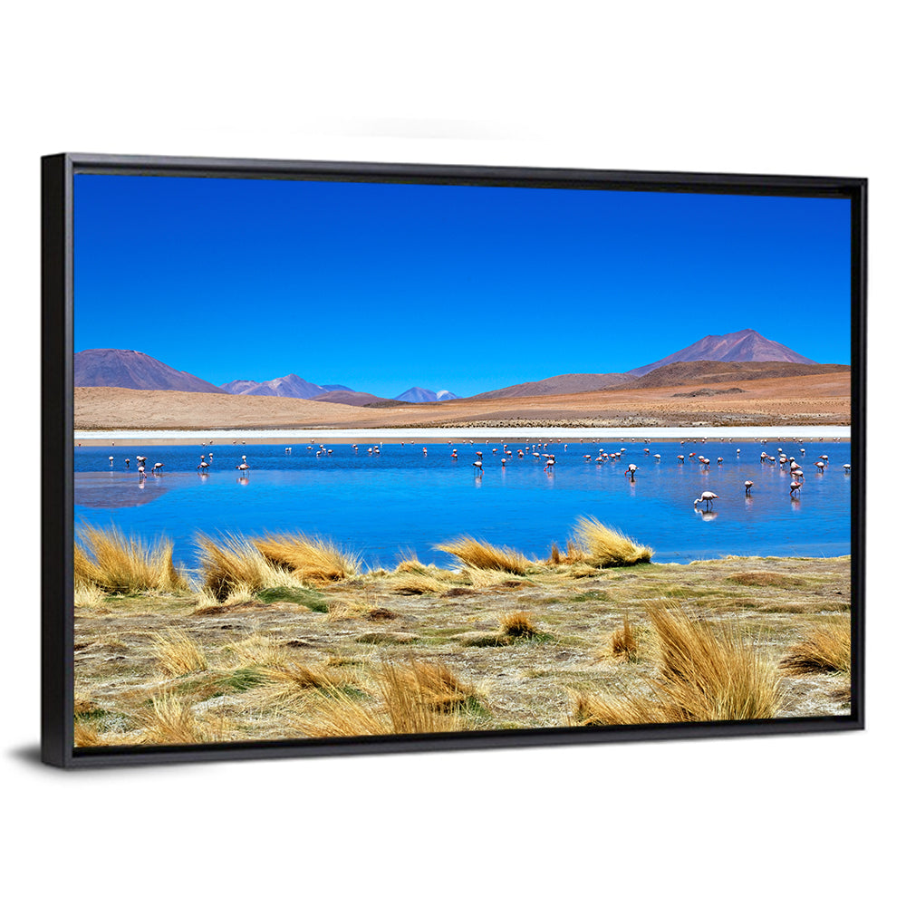 Laguna Flamingo Lake Wall Art