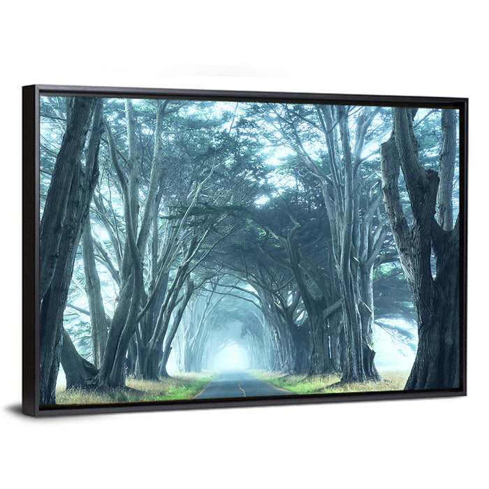 Foggy Cypress Tree Tunnel Wall Art as a framed canvas