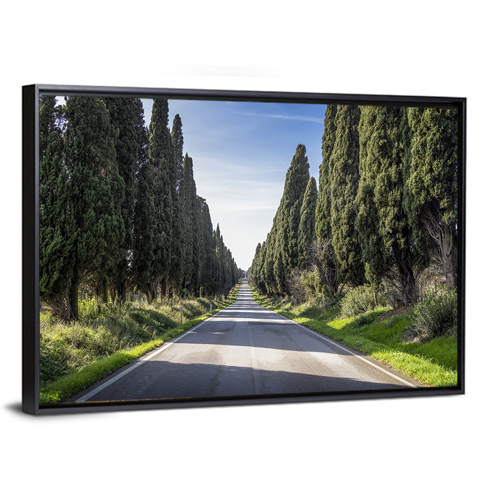 Avenue of Cypress Trees Wall Art