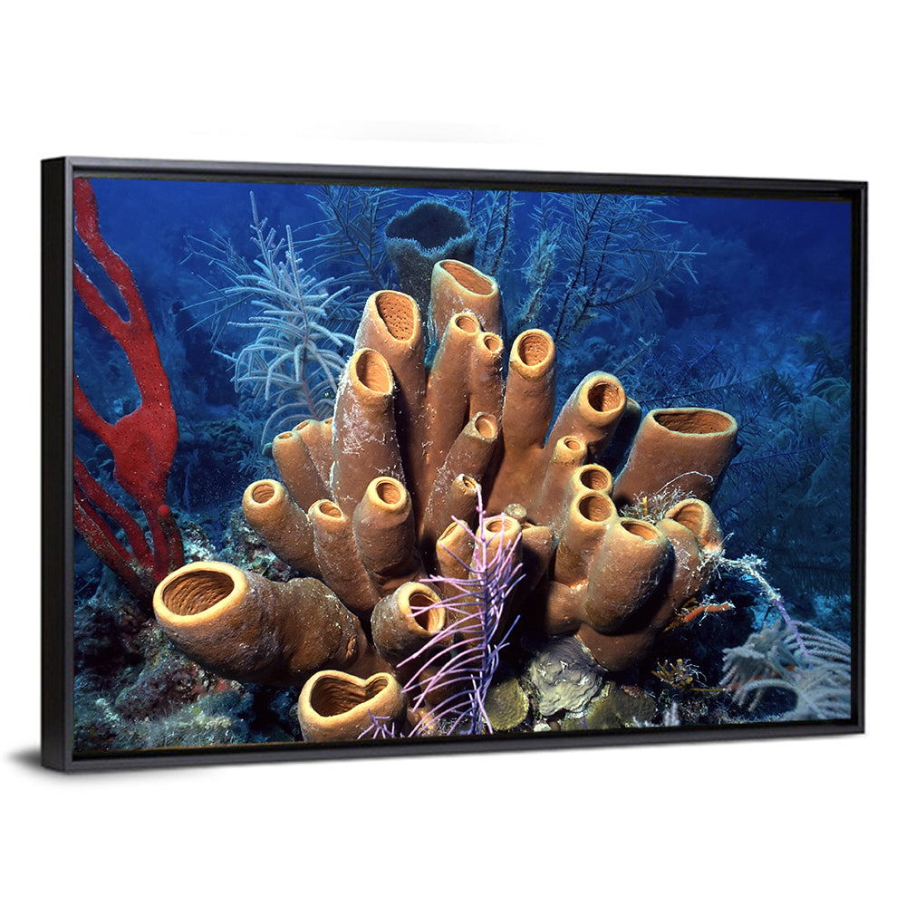 Belize Reef Sponge Scene Wall Art