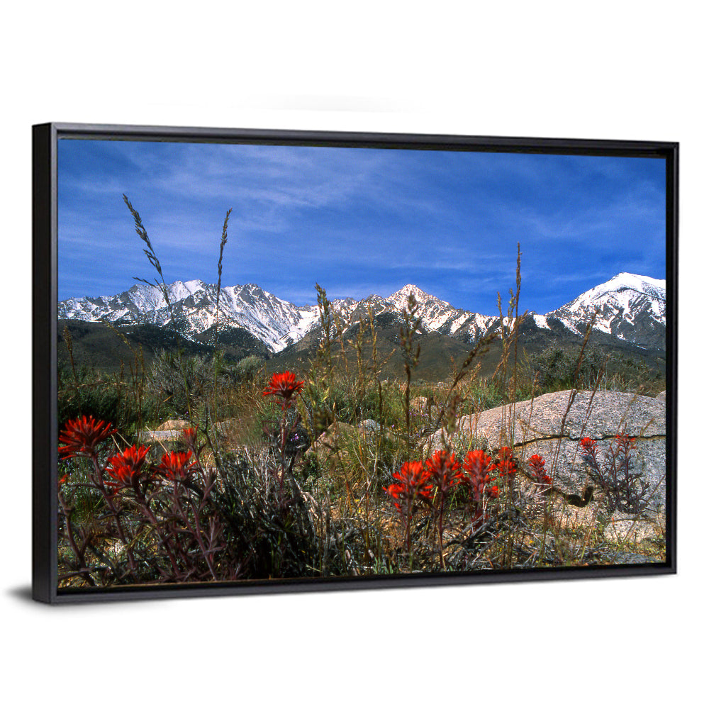 Sierra Nevada Wildflower Vista Wall Art