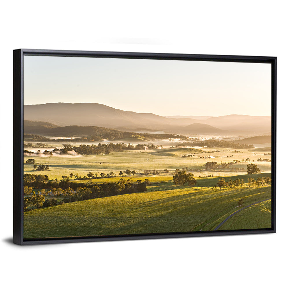 Yarra Valley Morning Mist Wall Art
