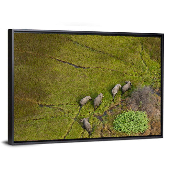 Aerial Herd of Elephants Wall Art as a framed canvas