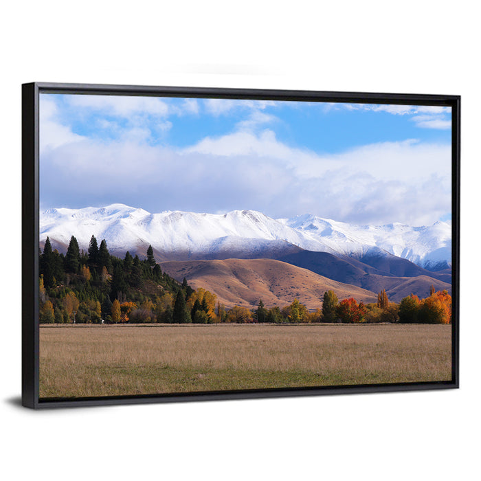 Ben Ohau Mountain Meadow Wall Art as a framed canvas