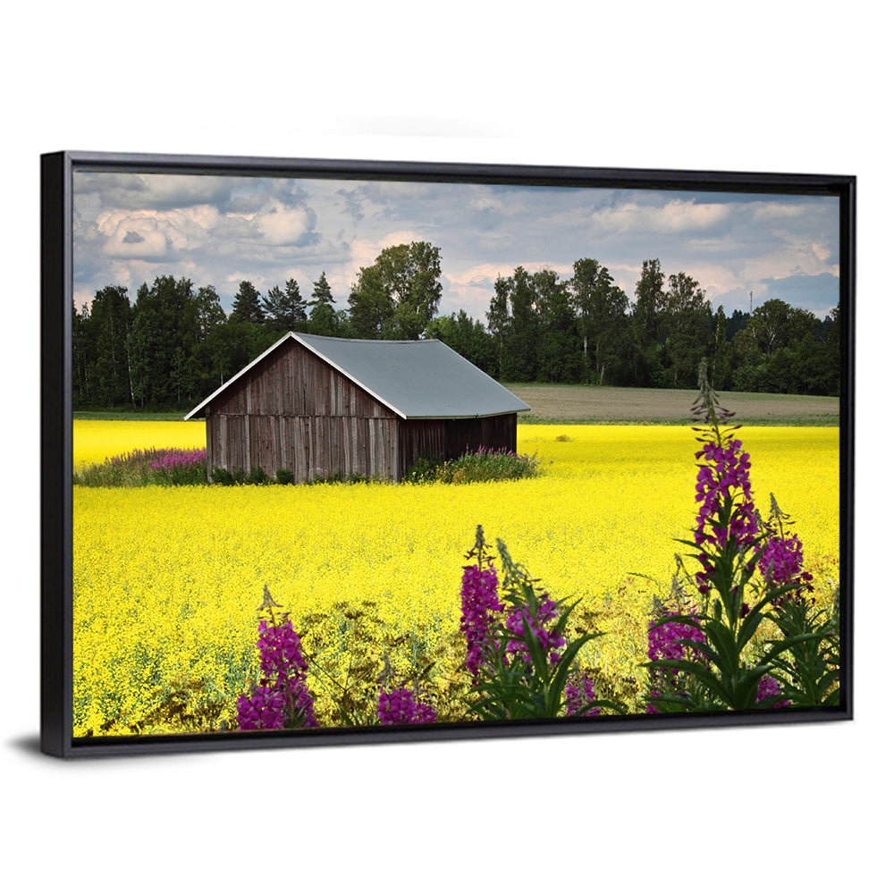 Finnish Barn in Yellow Field Wall Art