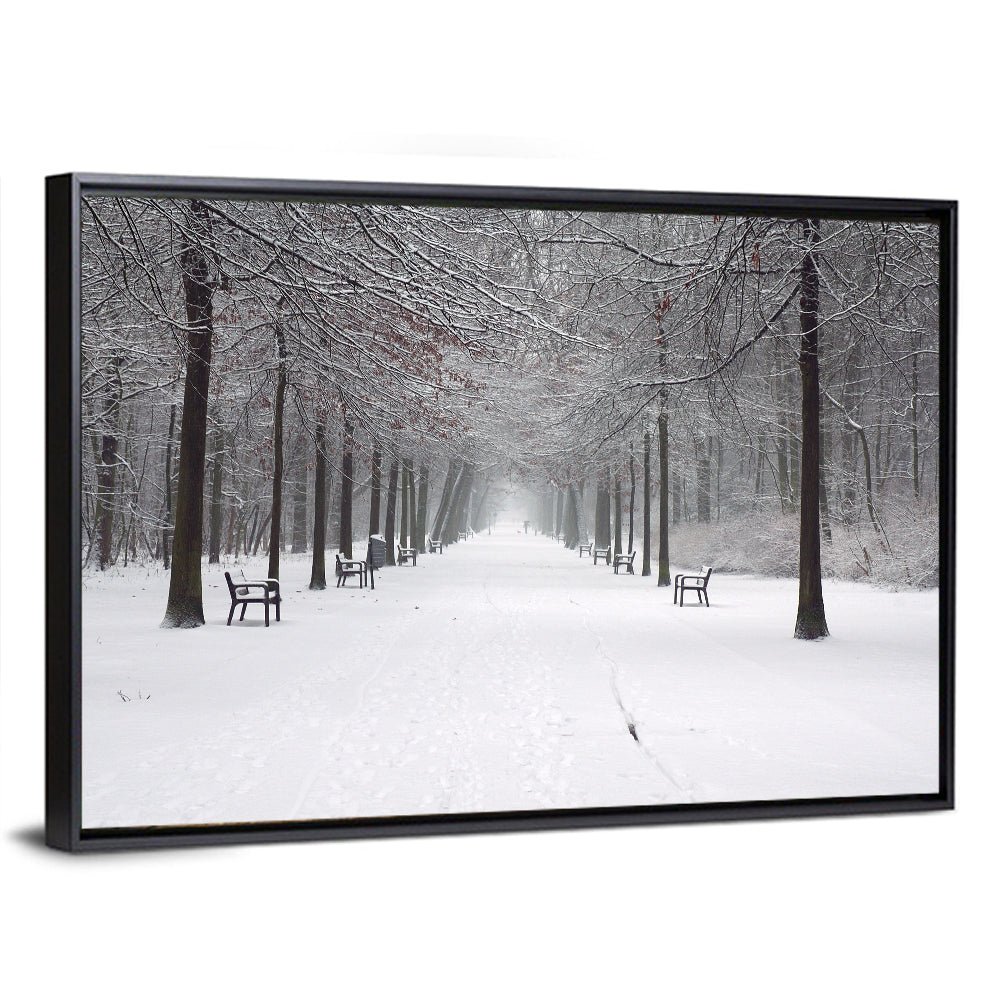 Snow Covered Park Lane Wall Art