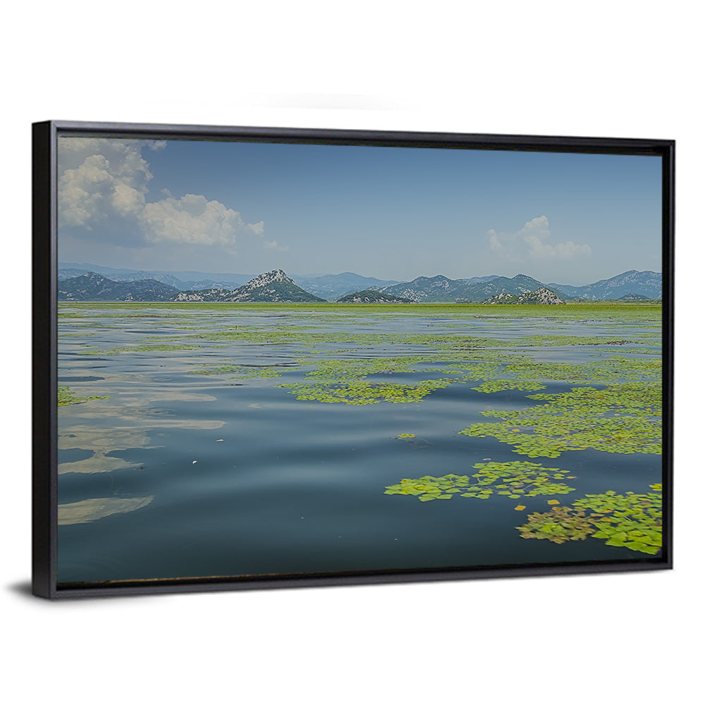 Lake Skadar Water Lilies Wall Art