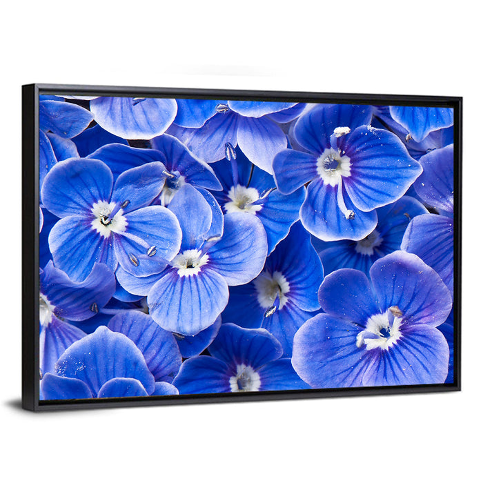 Blue Wildflower Close-up Wall Art as a framed canvas