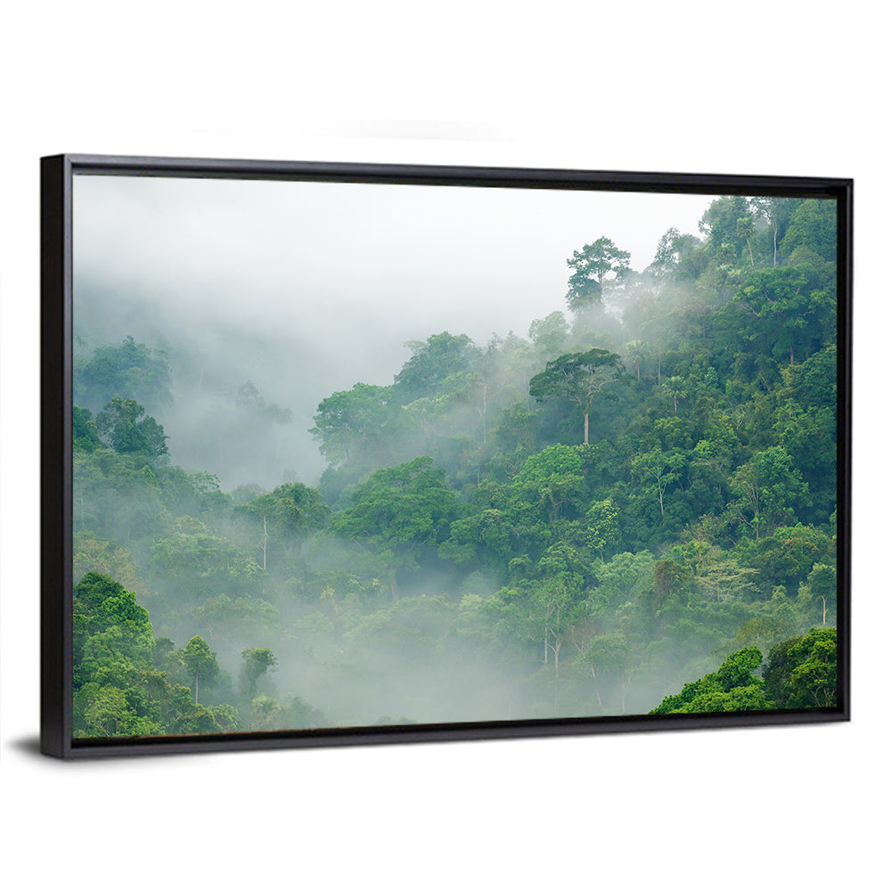 Misty Rainforest Morning Wall Art