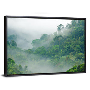 Foggy Rainforest Wall Art
