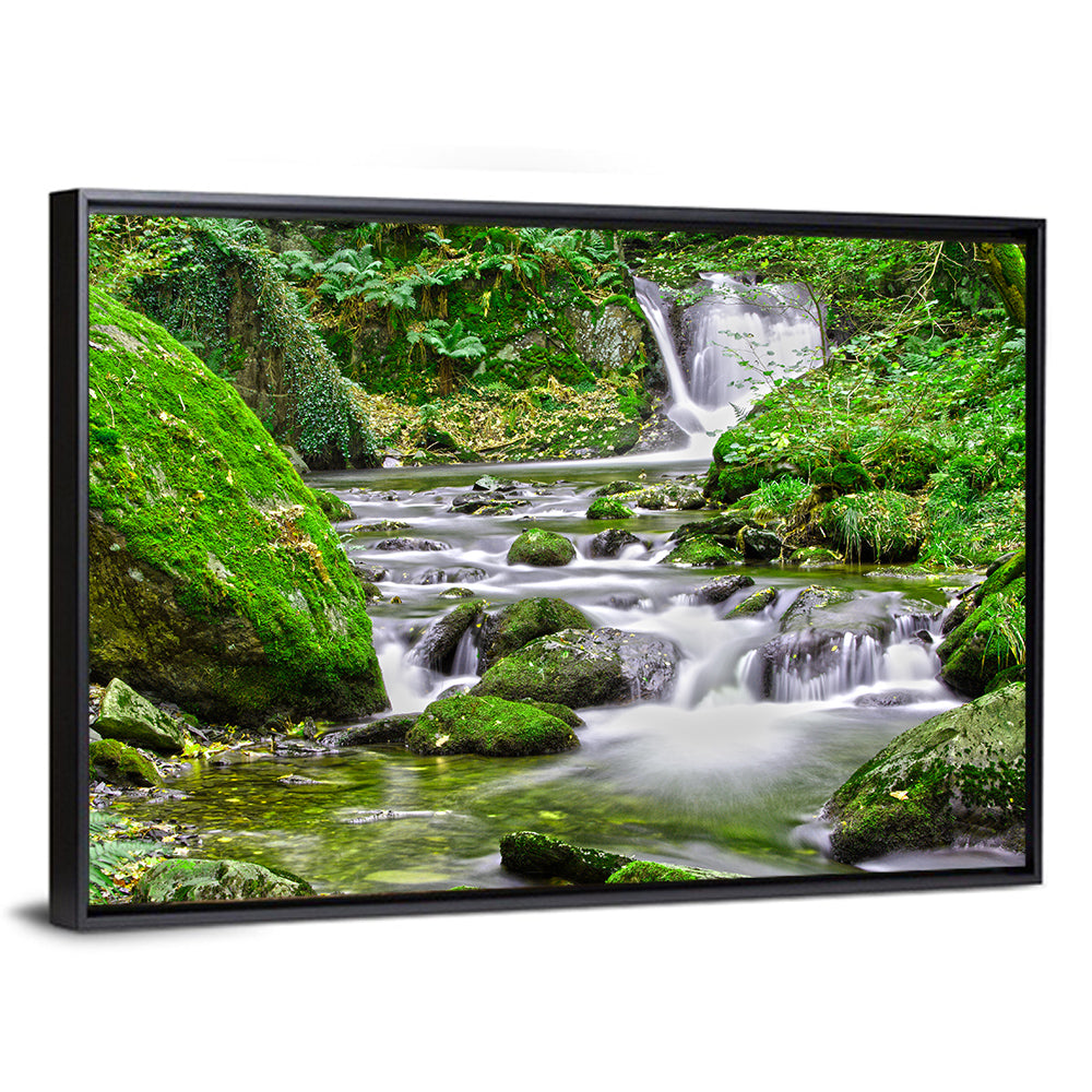 Mossy Forest Stream Wall Art