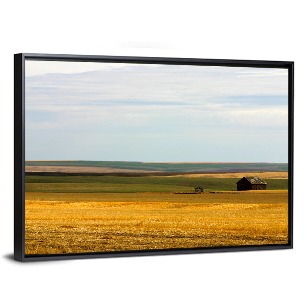 Lone Barn, Montana Farmland Wall Art