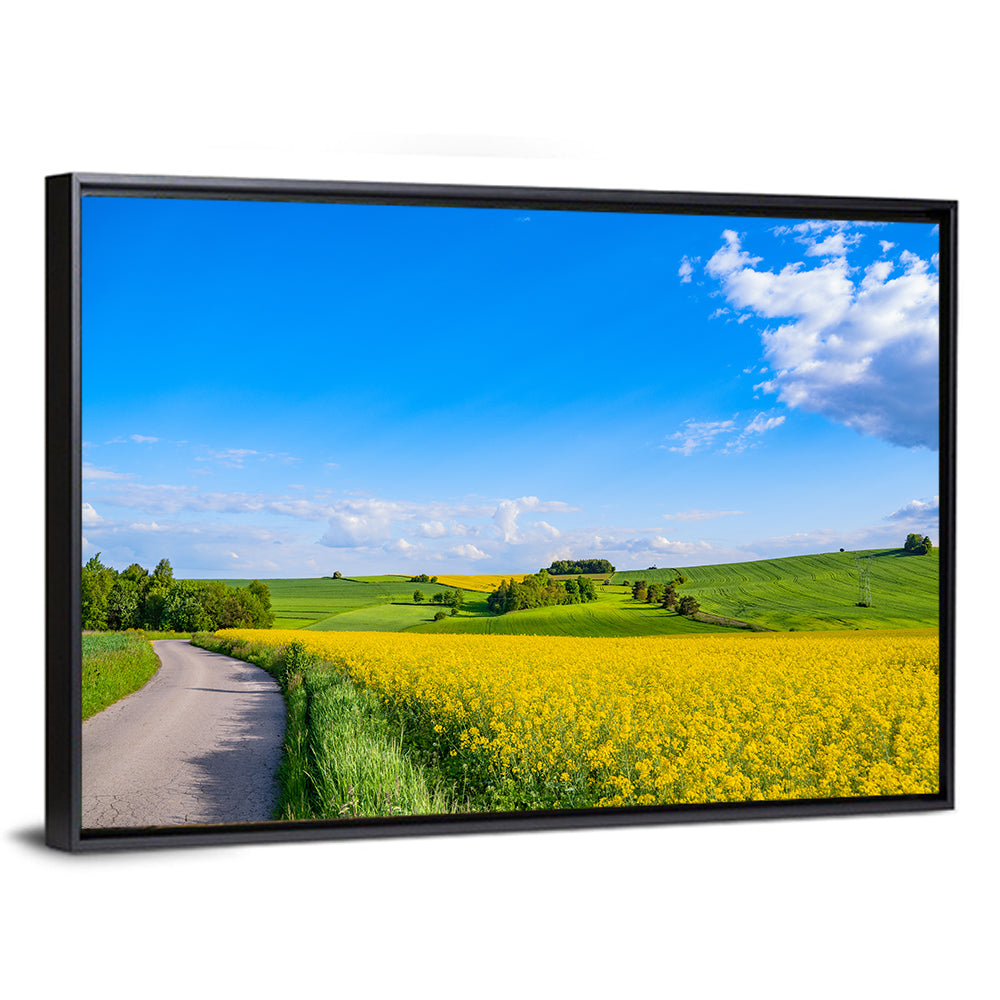 Rapeseed Field Road Under Blue Sky Wall Art