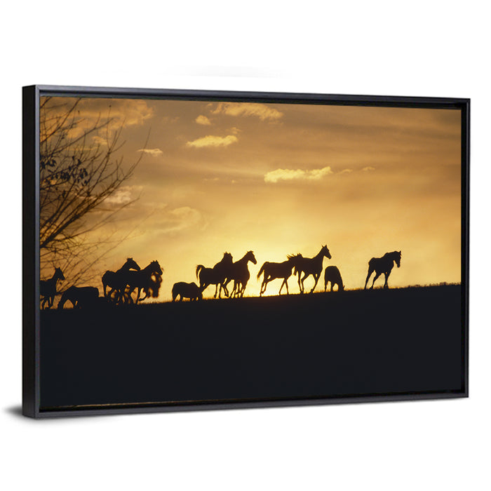 Mustang Silhouettes at Sunset Wall Art as a framed canvas