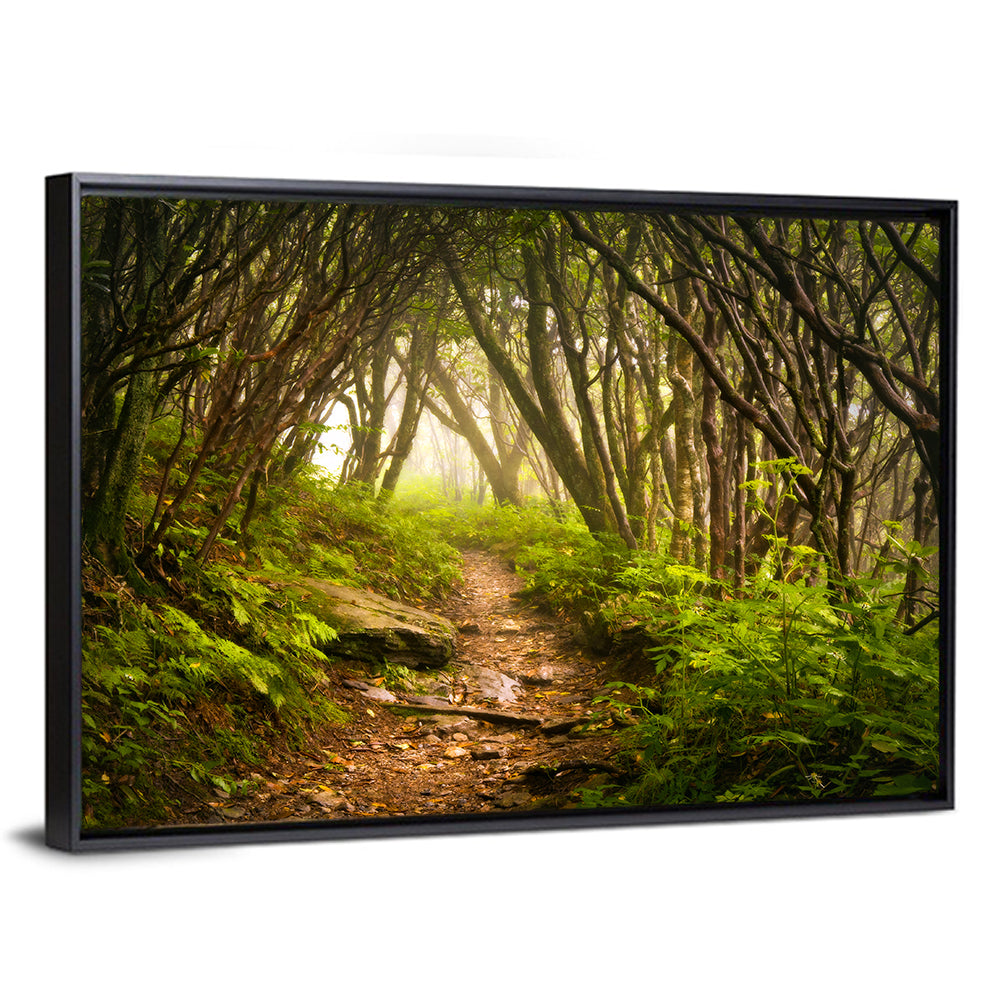 Craggy Gardens Hiking Trail Wall Art