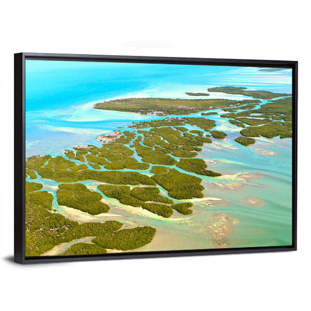 Florida Keys Mangrove Islands Wall Art