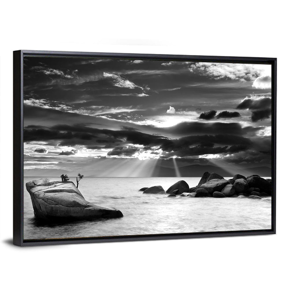 Bonsai Rock with Sunbeams Wall Art
