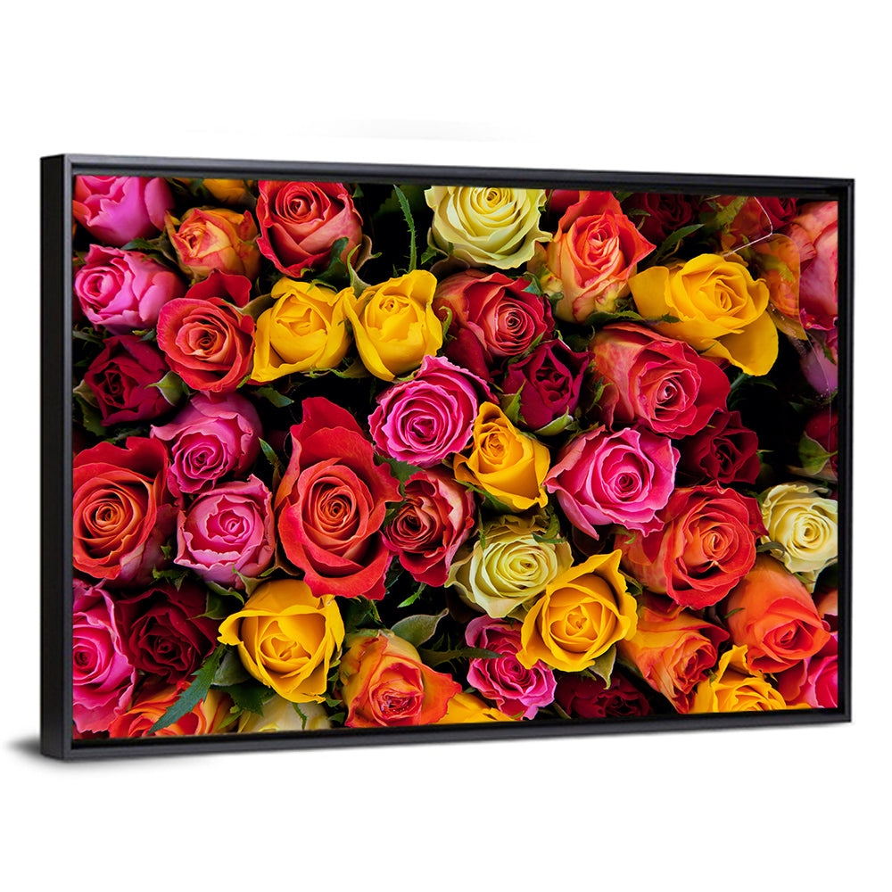 Multicolored Roses Close-up Wall Art