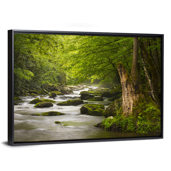 Tremont River Wall Art as a framed canvas