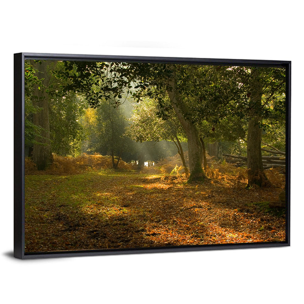 Autumn Forest Path, Hampshire Wall Art