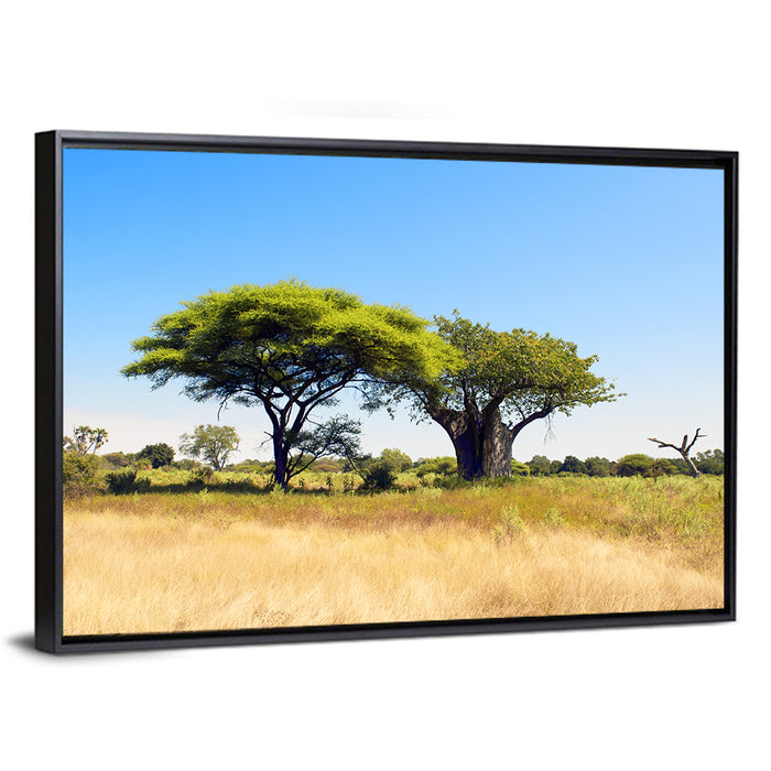 Acacia and Baobab Trees Wall Art as a framed canvas