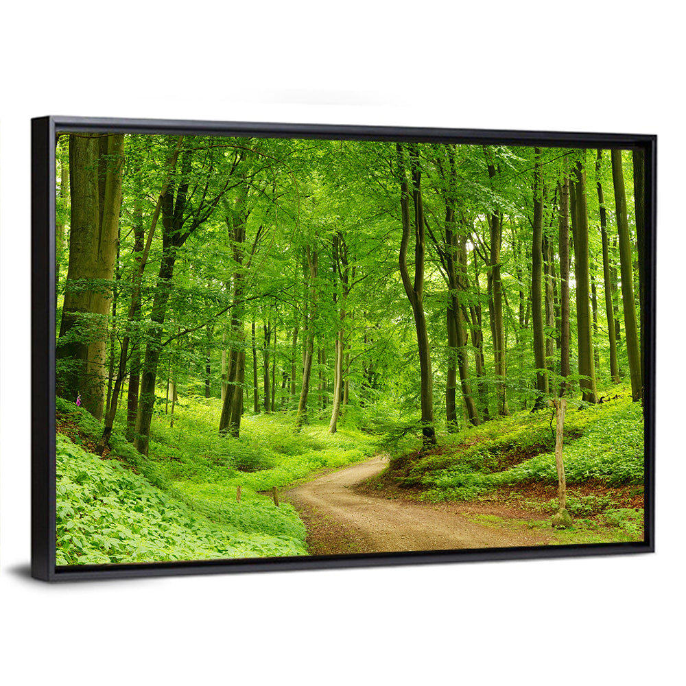 Sunlit Forest Path Wall Art