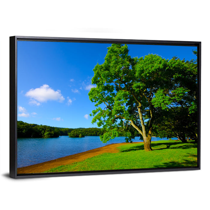 Lake Ippeki Solitary Tree Wall Art as a framed canvas