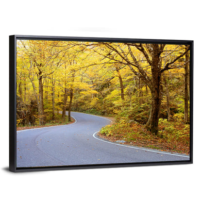 Road Through Fall Foliage Wall Art