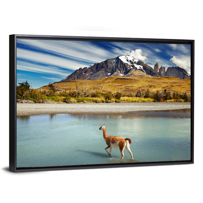 Torres Del Paine, Patagonia Wall Art as a framed canvas