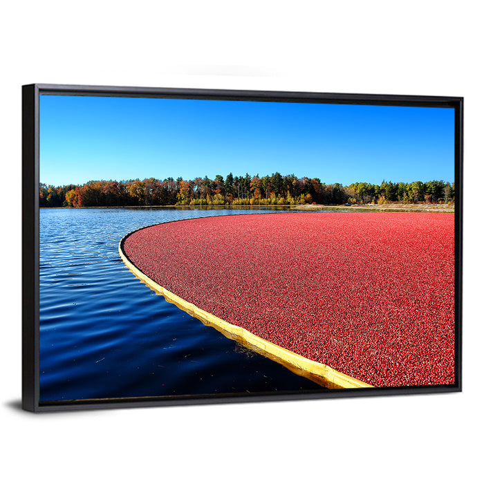 Flooded Cranberry Bog Wall Art as a framed canvas