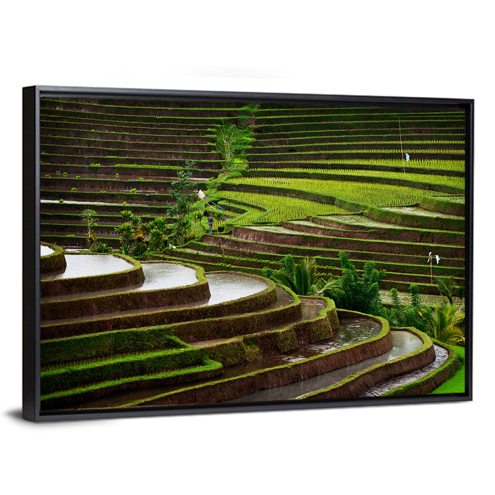 Lush Rice Terraces Wall Art