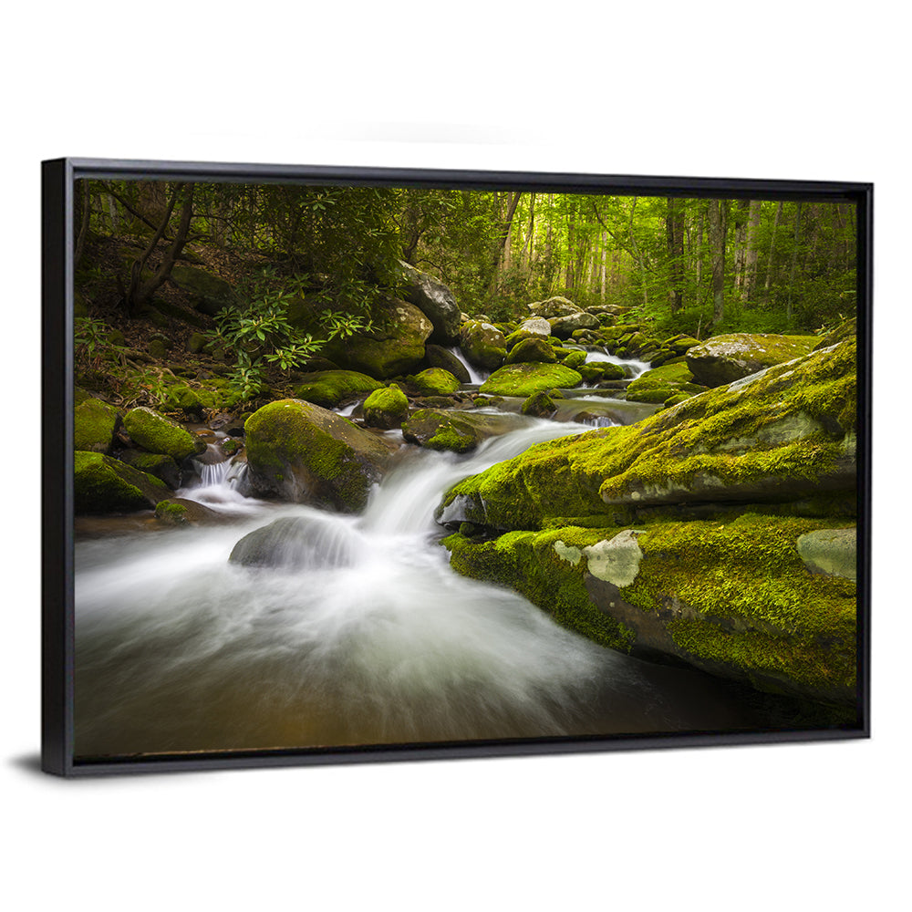 Gatlinburg Park Stream Wall Art