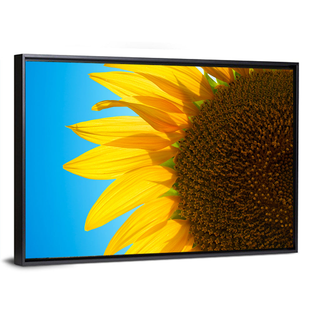 Sunflower Close-up Wall Art