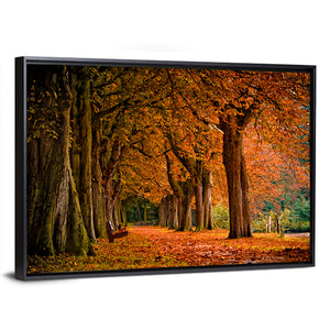 Forest Autumn Pathway Wall Art