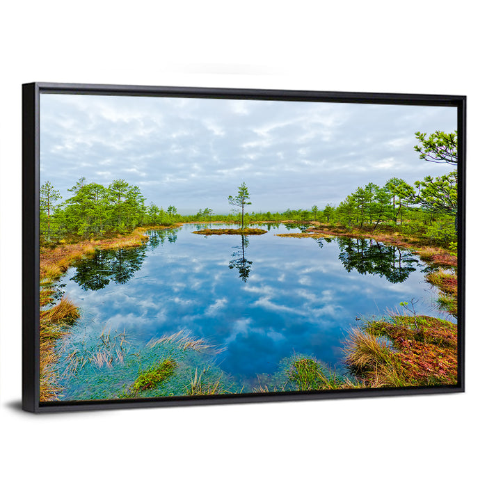 Viru Bog Reflections Wall Art as a framed canvas