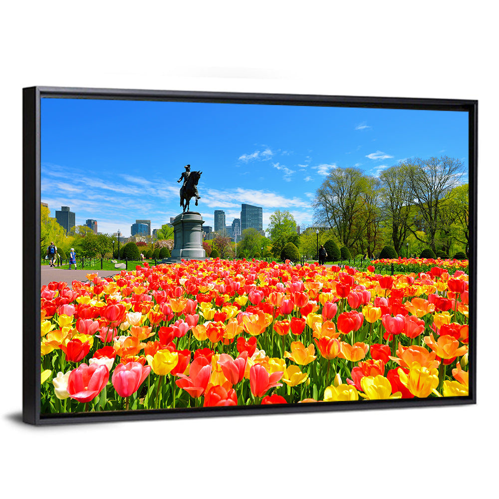 Boston Public Garden Tulips Wall Art