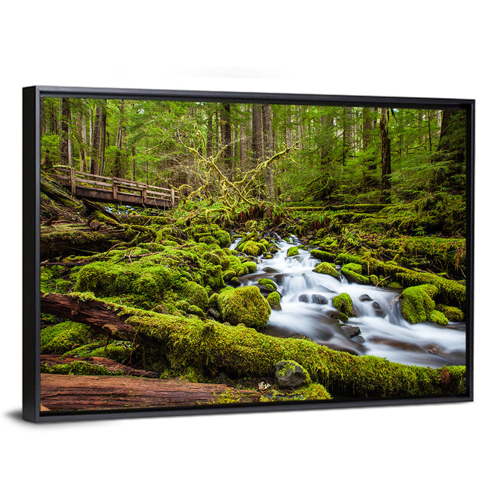 Mossy Cascade Forest Stream Wall Art as a framed canvas
