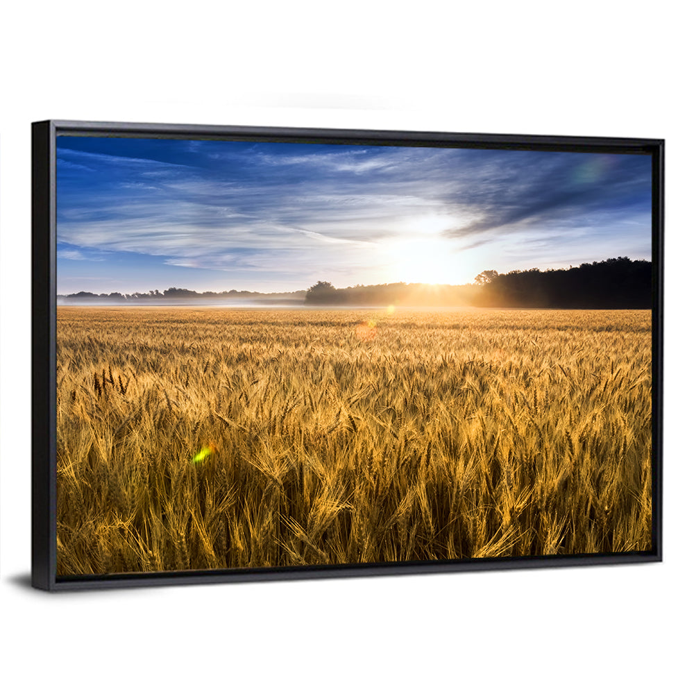 Golden Hour Wheat Field Wall Art