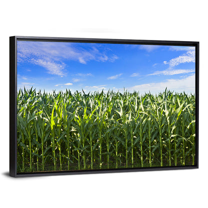 Green Corn Field Wall Art