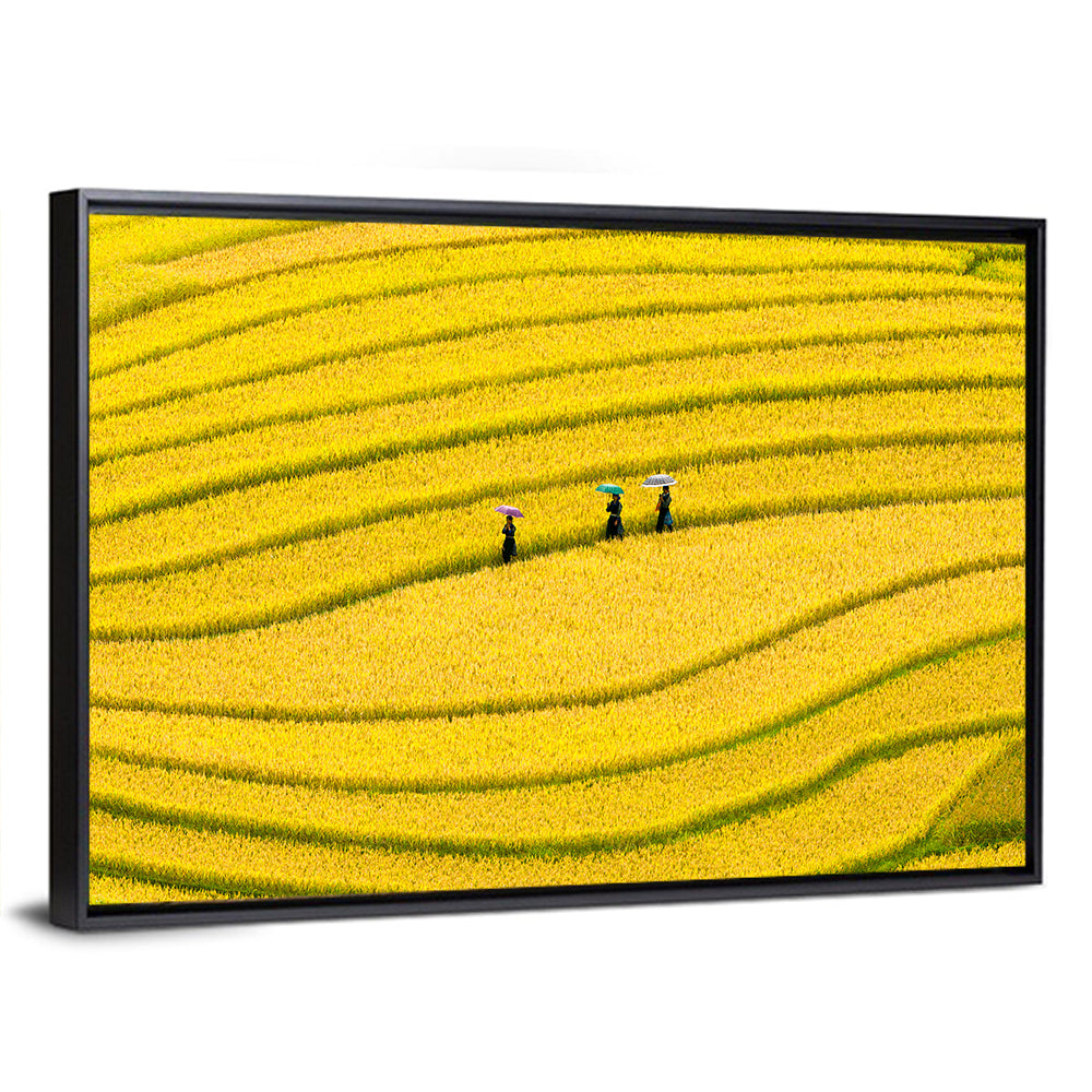 Terraced Rice Fields Wall Art