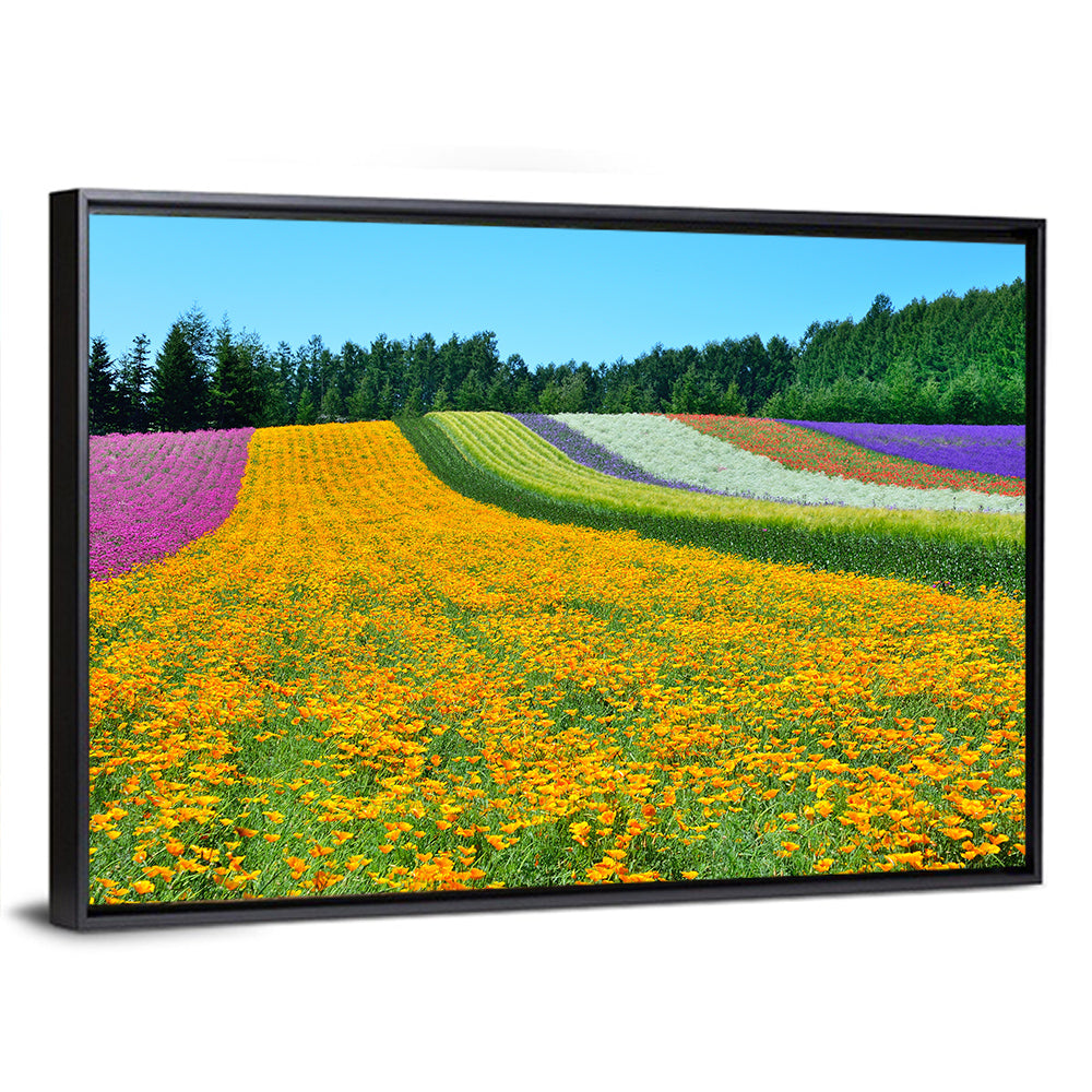 Tomita Flower Fields, Nakafurano Wall Art