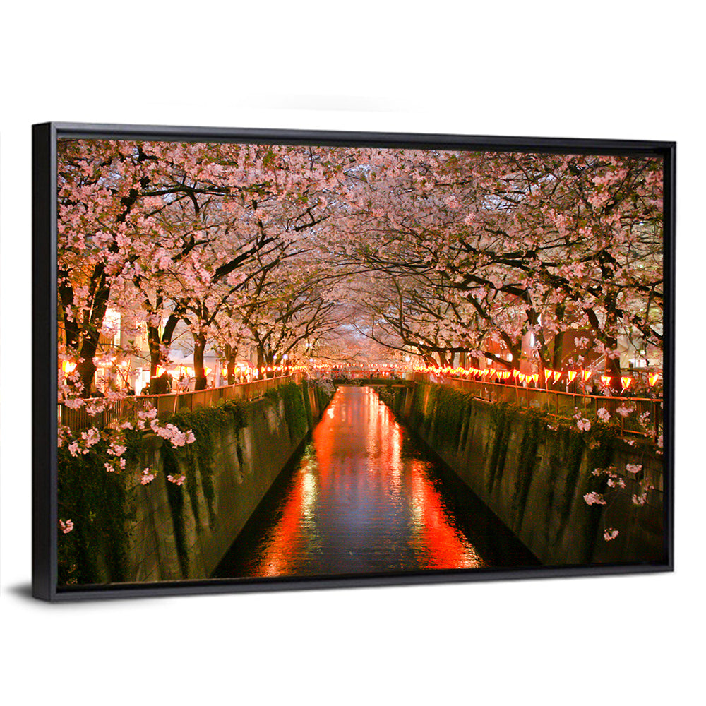Meguro River Cherry Blossoms Wall Art