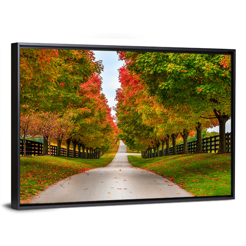 Tree-lined Farm Lane, Kentucky Wall Art