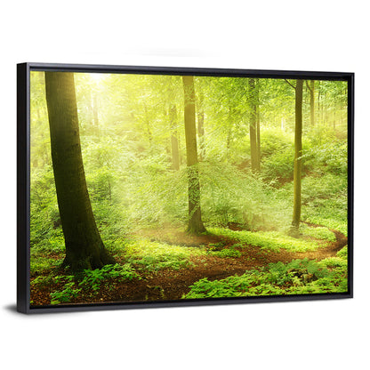 Lush Forest Wall Art